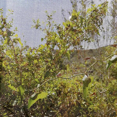 Casa El Dragonet Villa El Perelló Kültér fotó
